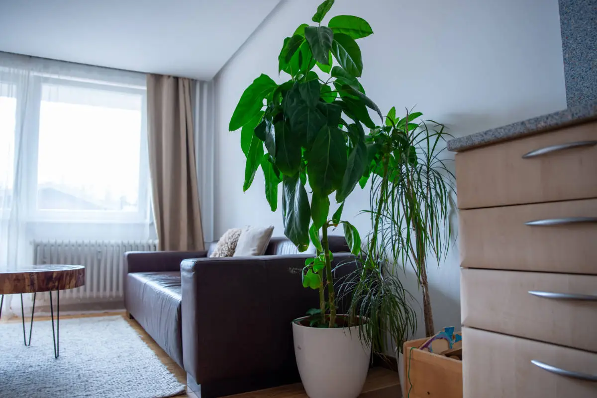 Apartment Štrbské Pleso – Galerie 18