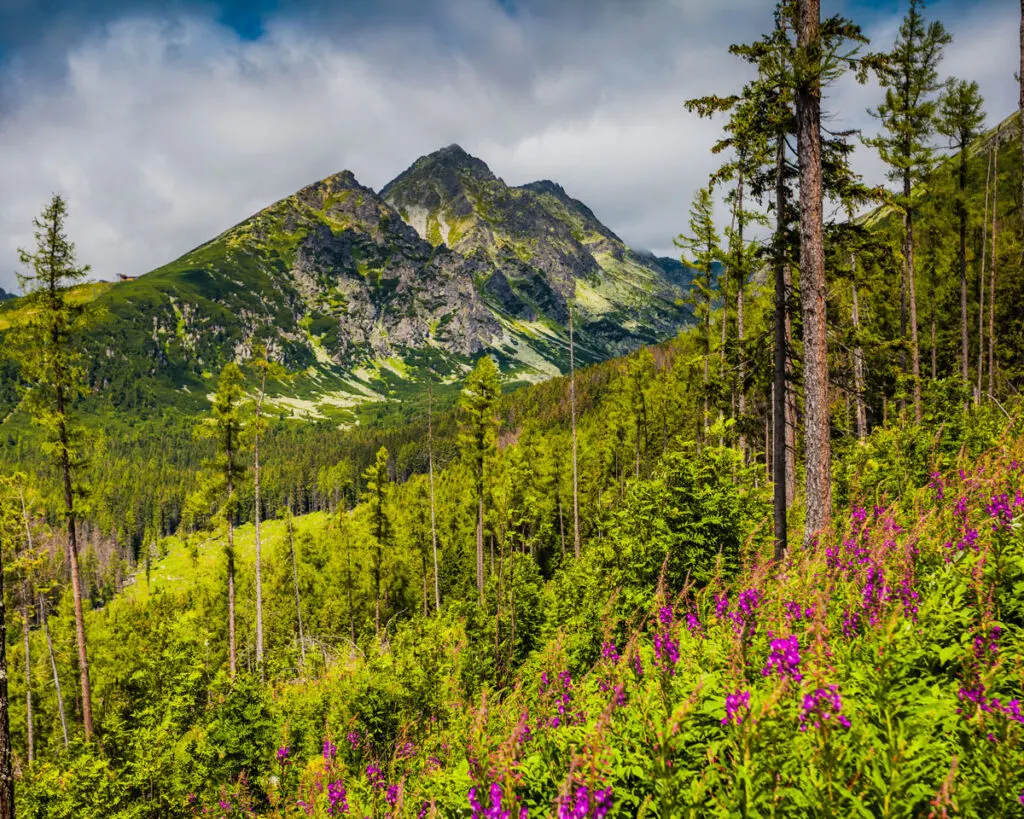 Der Frühling in der Tatra kommt: Was Sie vor den ersten Wanderungen wissen sollten